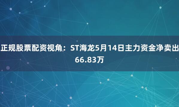 正规股票配资视角：ST海龙5月14日主力资金净卖出66.83万