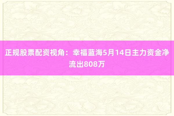 正规股票配资视角：幸福蓝海5月14日主力资金净流出808万