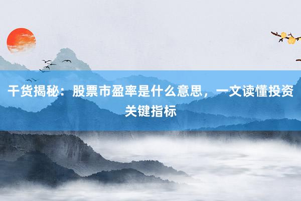 干货揭秘：股票市盈率是什么意思，一文读懂投资关键指标