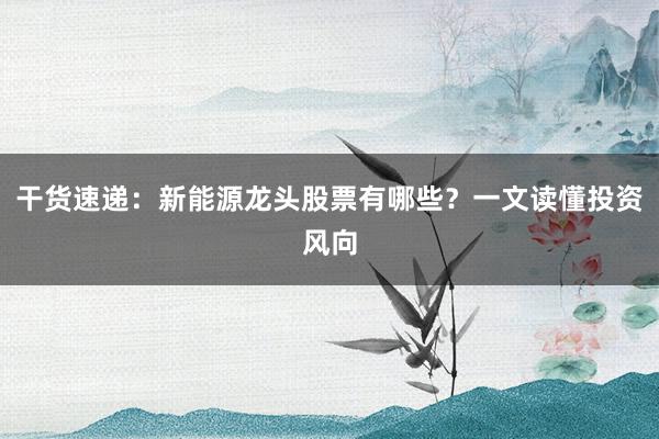 干货速递：新能源龙头股票有哪些？一文读懂投资风向